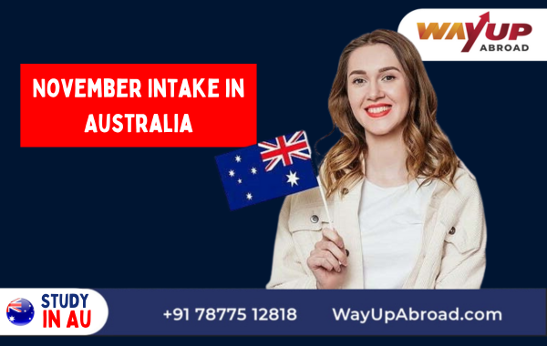 November Intake in Australia: Universities, Timeline, Scholarships
